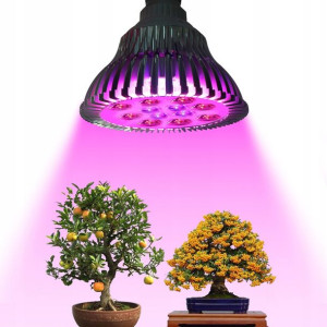 Duża Żarówka Led E27 Grow 21w Do Uprawy Roślin Wwa