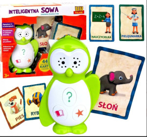 Elektroniczna Edukacyjna SOWA Mówi Uczy 44 KARTY
