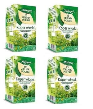 Herbata KOPER WŁOSKI Herbapol Polski Zielnik 80tb
