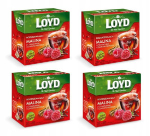 Herbata LOYD rozgrzewająca malina cynamon 80szt