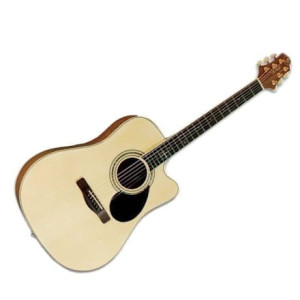 Gitara akustyczna Samick GD100SC NS