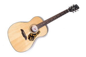 Gitara akustyczna Framus FG 14 SV VNT