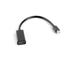 Lanberg mini Displayport