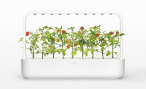 Ogród Click and Grow SMART 9 biały
