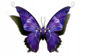 Tatuaż TYMCZASOWY Motyl butterfly 3D cień Piękny