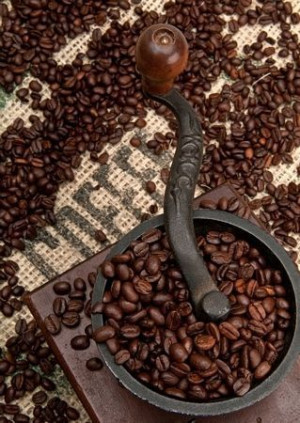 Coffee Beans and Grinder - fototapeta 115x175 cm