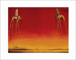 Salvador Dali - Słonie - plakat premium 80x60 cm