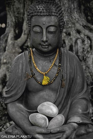 Kamienny Budda - Buddha stone - plakat 61x91,5 cm