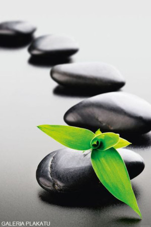 Zen Stones - Green - plakat 61x91,5 cm