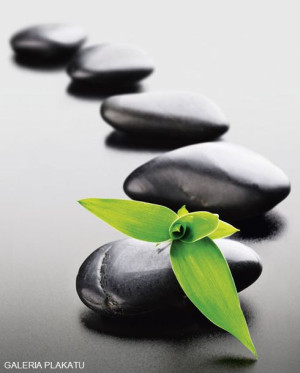 Zen Stones Green - plakat 40x50 cm