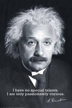 Albert Einstein - plakat 61x91,5 cm