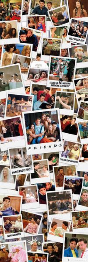Friends Przyjaciele Kolaż Zdjęć Polaroid - plakat 53x158 cm