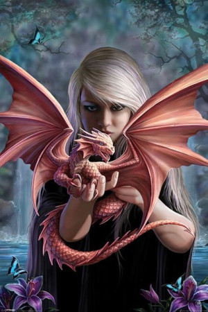 Anne Stokes Dragonkin - plakat 61x91,5 cm