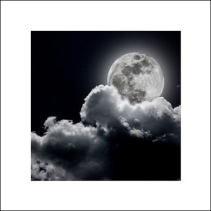 Pełnia księżyca - plakat premium 40x40 cm