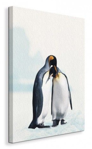 King Penguin Pingwiny - Obraz na płótnie 40x50 cm