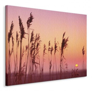 Fenland Sunrise - Obraz na płótnie 50x40 cm