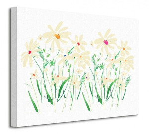Marguerite Daisy - Obraz na płótnie 40x30 cm