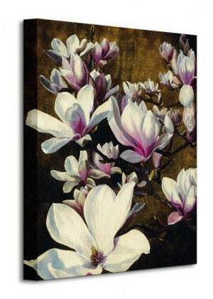 Magnolia Silk - Obraz na płótnie 30x40 cm
