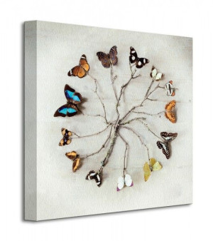 Butterfly Harmony - Motyle - Obraz na płótnie 40x40 cm