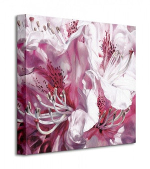 Froth And Flounce - Obraz na płótnie 40x40 cm