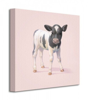 Cow - Obraz na płótnie 40x40 cm