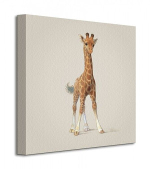 Giraffe - Obraz na płótnie 40x40 cm