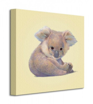 Koala - Obraz na płótnie 40x40 cm