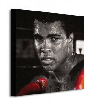 Muhammad Ali (Boxing Gloves) - Obraz na płótnie 40x40 cm