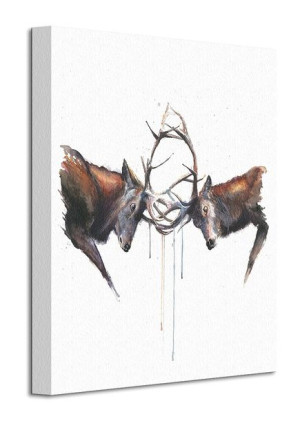 Headstrong - Obraz na płótnie 30x40 cm