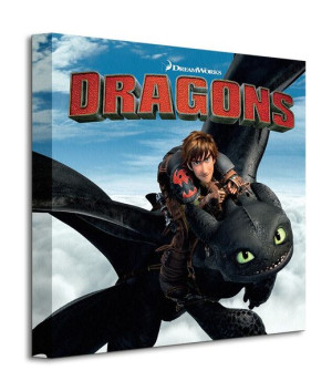 Dragons (Toothless and Hiccup) - Obraz na płótnie 40x40 cm
