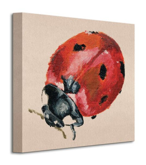Ladybird - Obraz na płótnie 30x30 cm