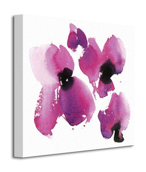 Paeoniflorum - Obraz na płótnie 40x40 cm