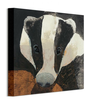 Badger - Obraz na płótnie 30x30 cm