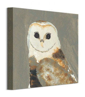 Barn Owl - Obraz na płótnie 30x30 cm