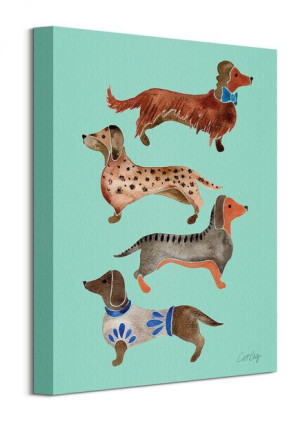 Dachshunds - Obraz na płótnie 30x40 cm
