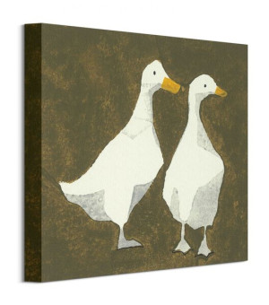 Ducks - Obraz na płótnie 30x30 cm