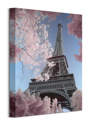 Eiffel Tower Infrared, Paris - Obraz na płótnie 30x40 cm