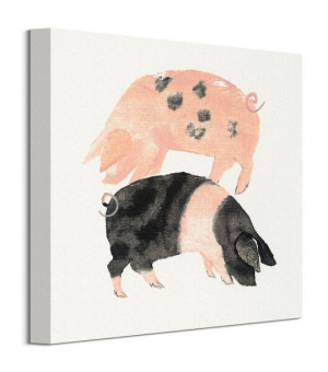 Gloucester Old Spot And Saddleback Pigs - Obraz na płótnie 30x30 cm