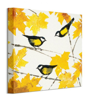 Great Tits - Obraz na płótnie 30x30 cm