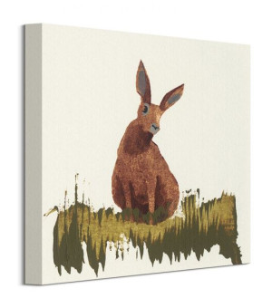 Hare - Obraz na płótnie 30x30 cm