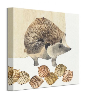 Hedgehog - Obraz na płótnie 30x30 cm