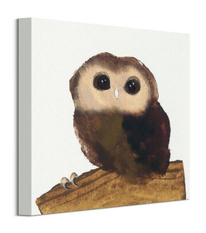 Little Owl - Obraz na płótnie 30x30 cm