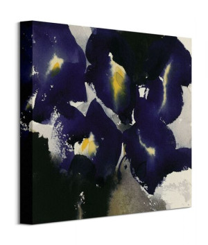 Iris Laevigata - Obraz na płótnie 40x40 cm