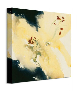 Lilium Candidum - Obraz na płótnie 40x40 cm