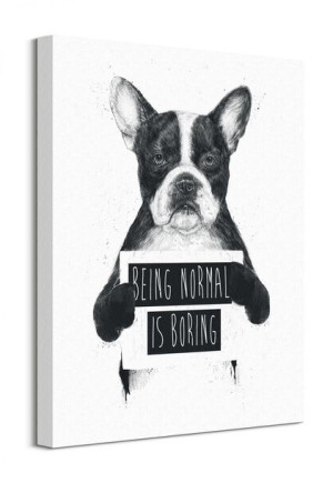 Being Normal Is Boring - Obraz na płótnie 40x50 cm