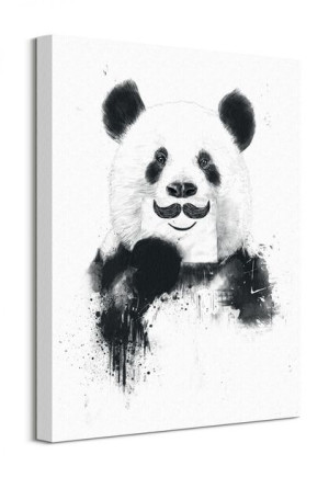 Funny Panda - Obraz na płótnie 40x50 cm