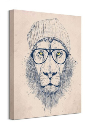 Cool Lion - Obraz na płótnie 40x50 cm