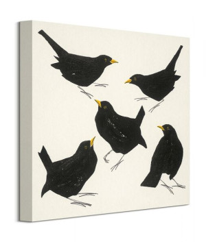 Blackbirds - obraz na płótnie 40x40 cm
