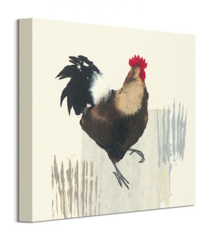 Cockerel - obraz na płótnie 30x30 cm