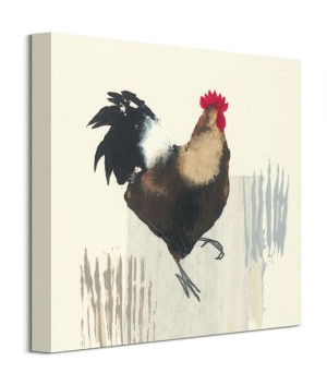 Cockerel - obraz na płótnie 40x40 cm